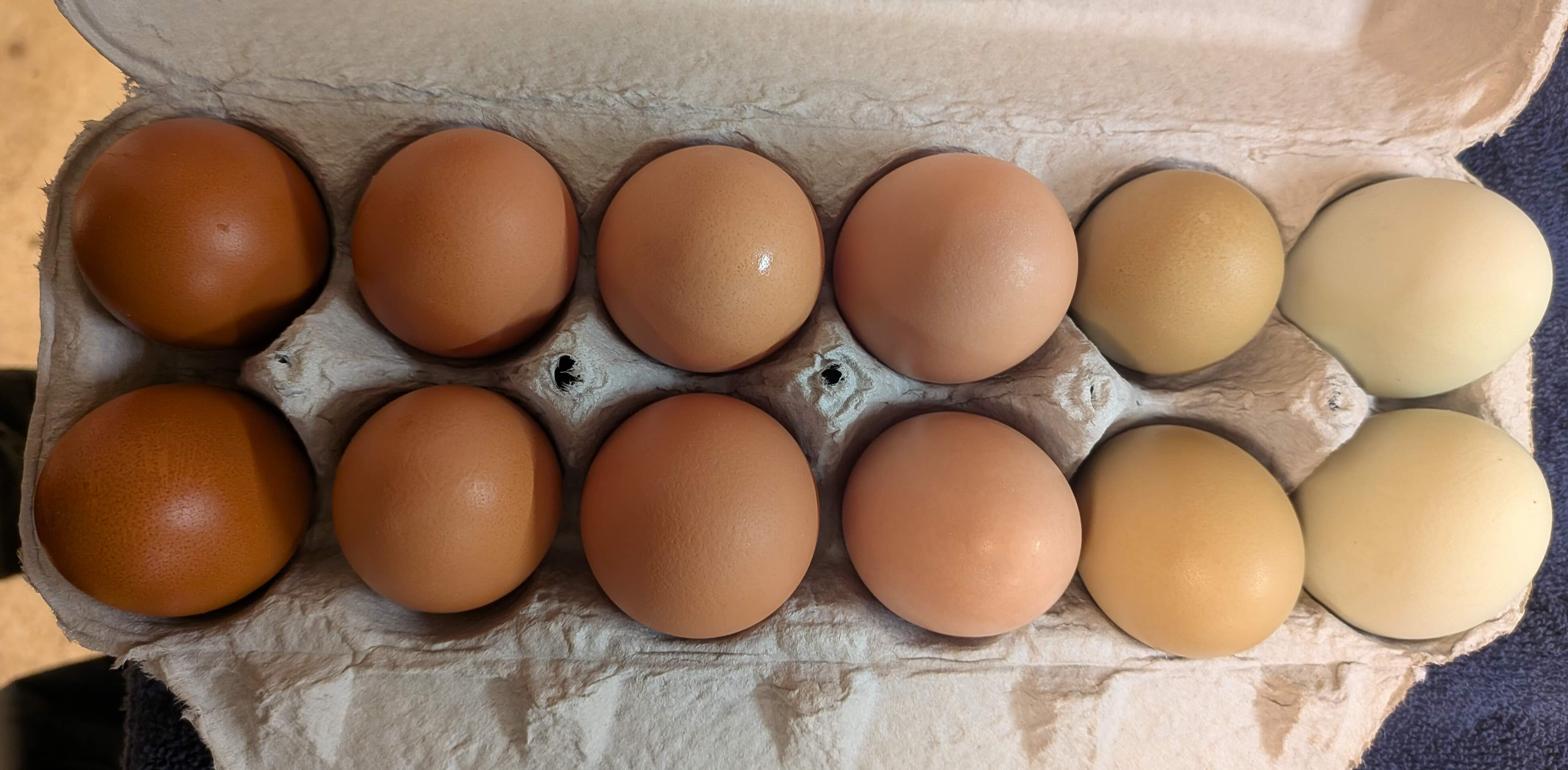 Eggs
